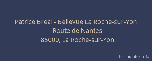 Patrice Breal - Bellevue La Roche-sur-Yon