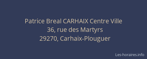 Patrice Breal CARHAIX Centre Ville