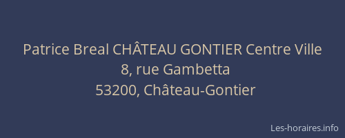 Patrice Breal CH&Acirc;TEAU GONTIER Centre Ville