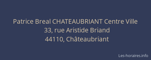 Patrice Breal CHATEAUBRIANT Centre Ville