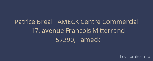 Patrice Breal FAMECK Centre Commercial