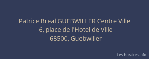 Patrice Breal GUEBWILLER Centre Ville