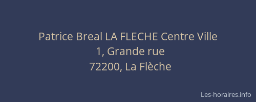 Patrice Breal LA FLECHE Centre Ville