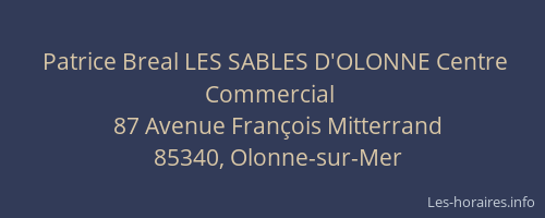 Patrice Breal LES SABLES D'OLONNE Centre Commercial