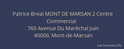 Patrice Breal MONT DE MARSAN 2 Centre Commercial
