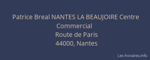 Patrice Breal NANTES LA BEAUJOIRE Centre Commercial