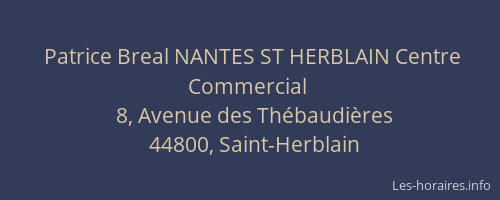 Patrice Breal NANTES ST HERBLAIN Centre Commercial