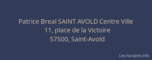 Patrice Breal SAINT AVOLD Centre Ville