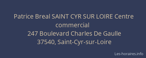 Patrice Breal SAINT CYR SUR LOIRE Centre commercial