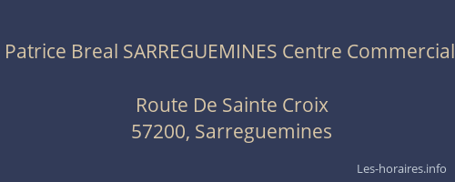 Patrice Breal SARREGUEMINES Centre Commercial