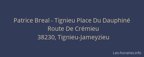 Patrice Breal - Tignieu Place Du Dauphin&eacute;