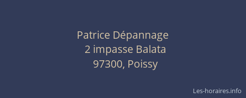 Patrice D&eacute;pannage