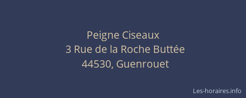 Peigne Ciseaux
