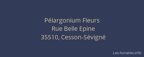 Pélargonium Fleurs