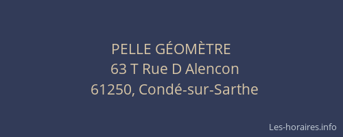 PELLE G&Eacute;OM&Egrave;TRE