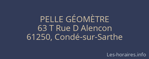 PELLE GÉOMÈTRE