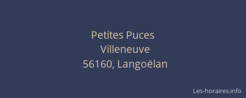 Petites Puces
