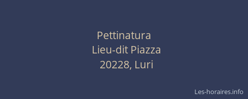Pettinatura