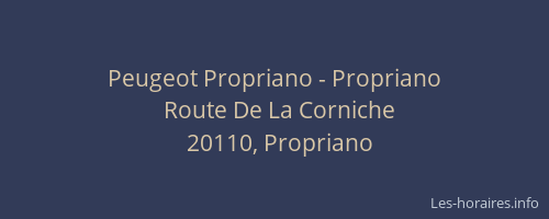 Peugeot Propriano - Propriano