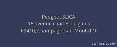 Peugeot SLICA