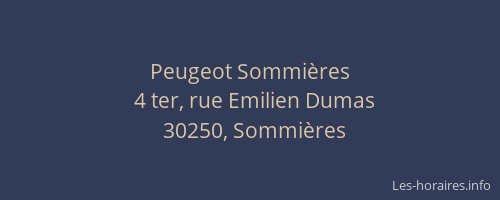 Peugeot Sommières