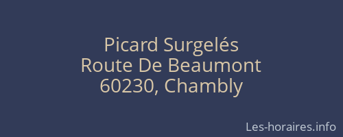 Picard Surgelés