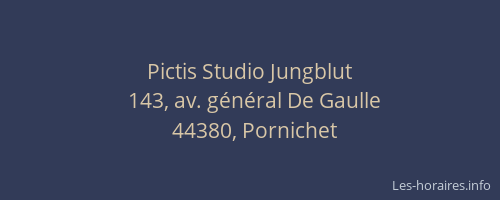 Pictis Studio Jungblut