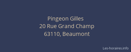 Pingeon Gilles