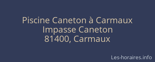 Piscine Caneton à Carmaux