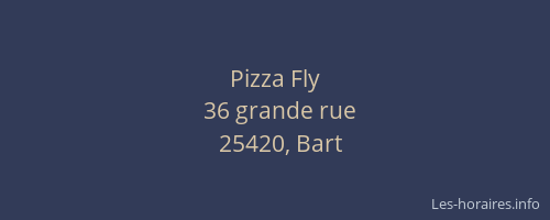 Pizza Fly