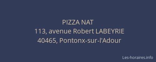 PIZZA NAT