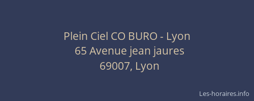 Plein Ciel CO BURO - Lyon