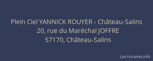 Plein Ciel YANNICK ROUYER - Ch&acirc;teau-Salins