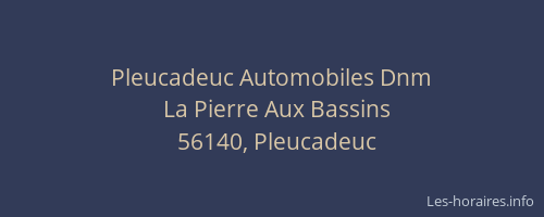 Pleucadeuc Automobiles Dnm