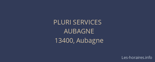 PLURI SERVICES
