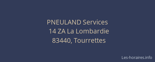 PNEULAND Services