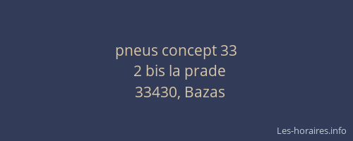 pneus concept 33