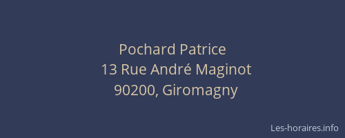 Pochard Patrice