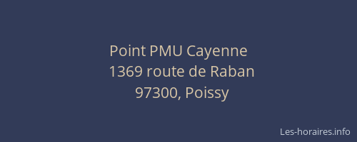 Point PMU Cayenne