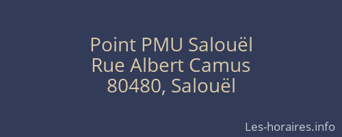 Point PMU Salouël