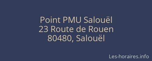 Point PMU Salouël