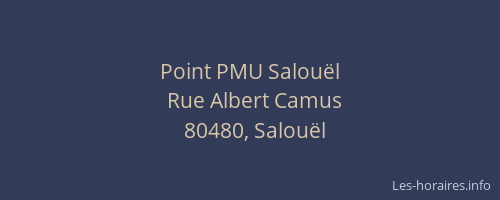 Point PMU Salou&euml;l