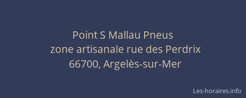 Point S Mallau Pneus
