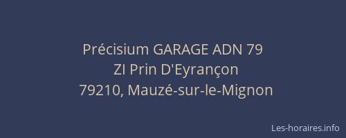 Pr&eacute;cisium GARAGE ADN 79