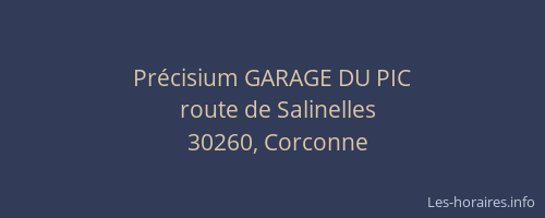 Pr&eacute;cisium GARAGE DU PIC