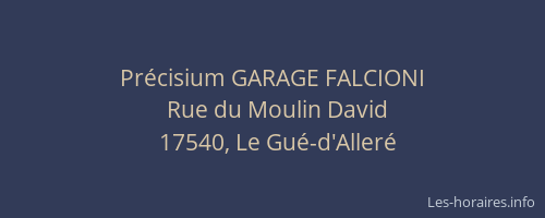 Pr&eacute;cisium GARAGE FALCIONI