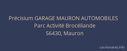 Précisium GARAGE MAURON AUTOMOBILES