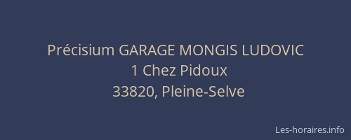Pr&eacute;cisium GARAGE MONGIS LUDOVIC