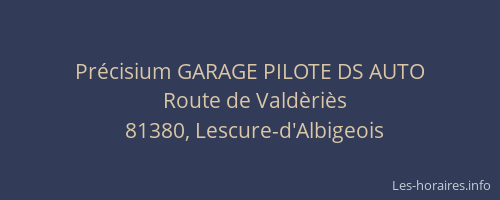 Pr&eacute;cisium GARAGE PILOTE DS AUTO