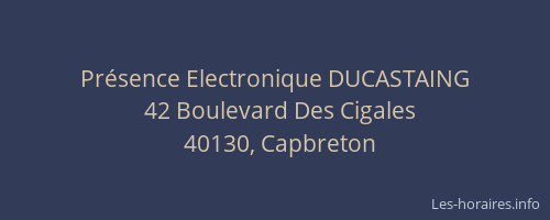 Pr&eacute;sence Electronique DUCASTAING